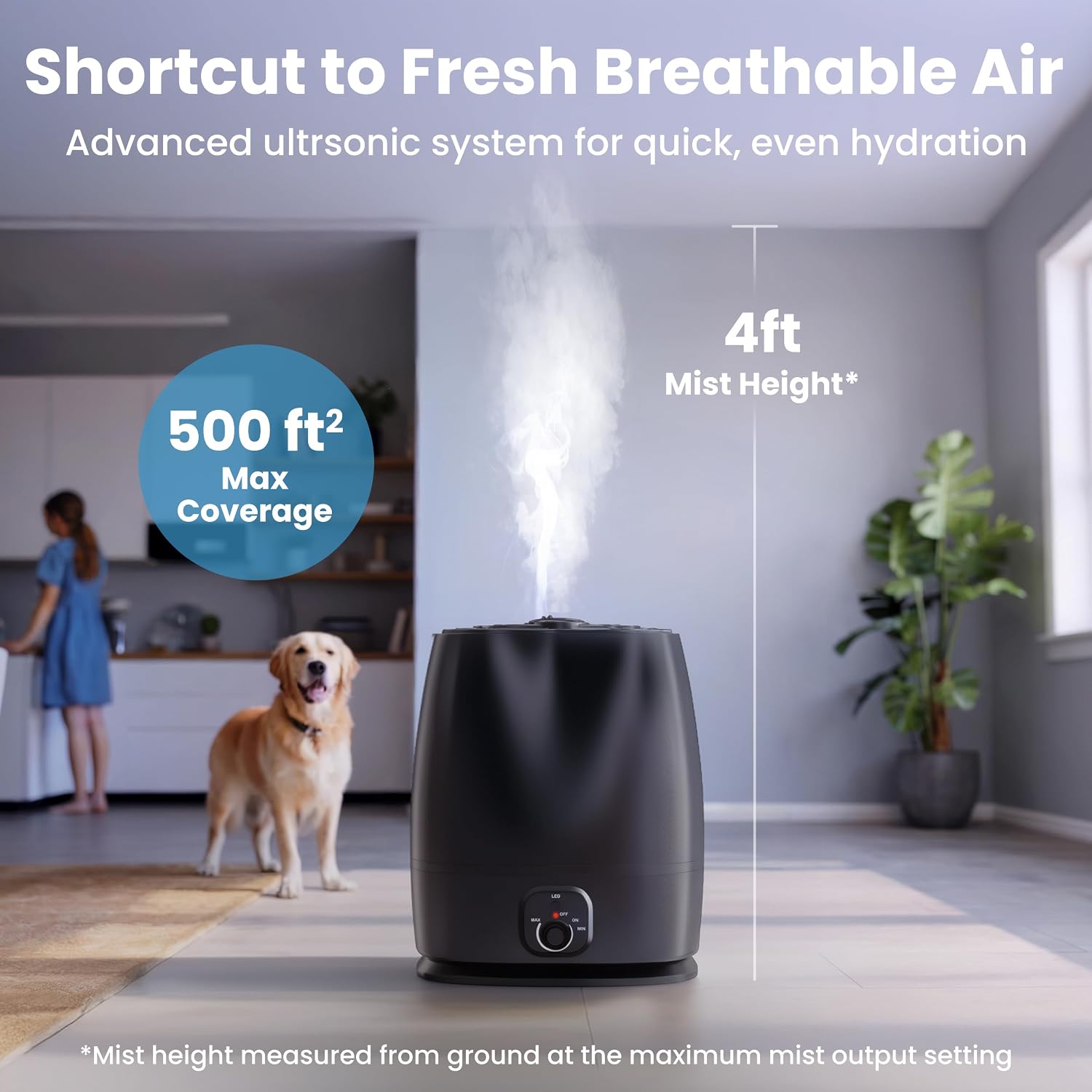 Humidifier Kabut Dingin 6L unt - Baby Nursery Images Free ulasan dan harga